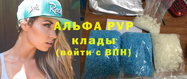 индика Алагир