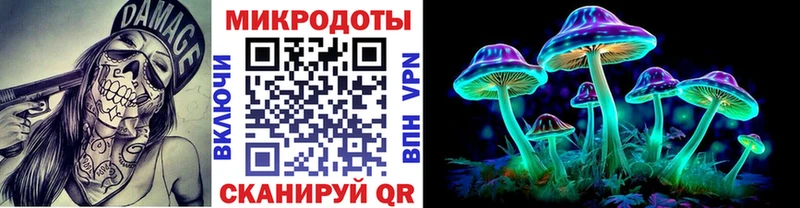 купить   Берёзовка  Галлюциногенные грибы Magic Shrooms 